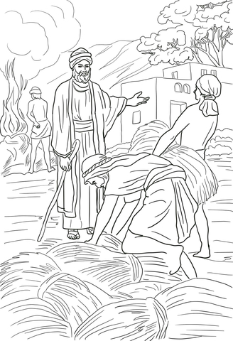 Parable of the Wheat and Weeds Coloring page