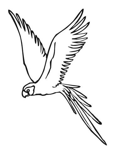 Parakeet Fly Coloring page