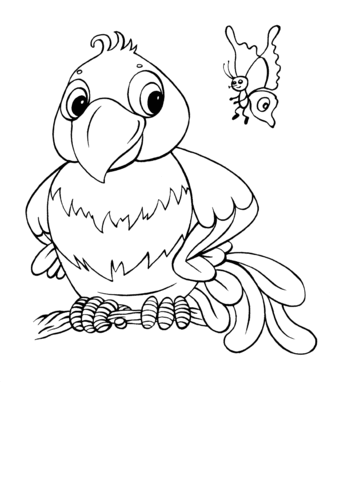 Parrot and butterfly Coloring page