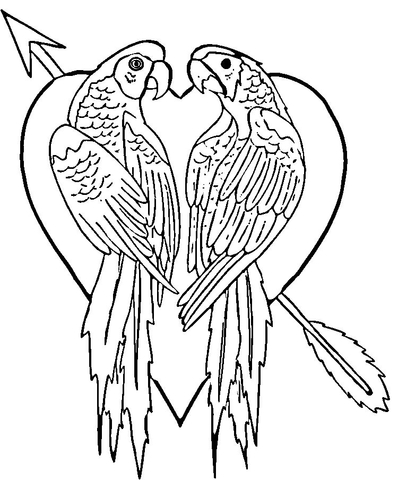 Parrots in Love  Coloring page