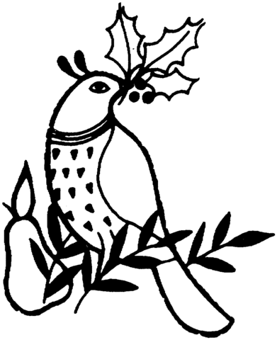 Partridge 2 Coloring page