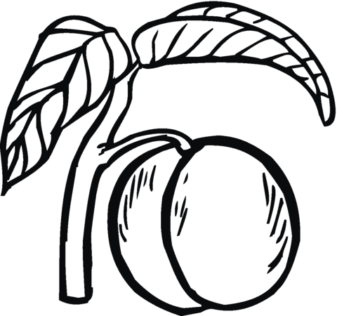 Peach 10 Coloring page