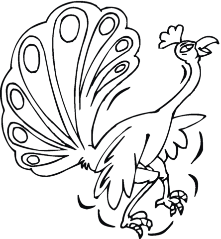 Peacock 17 Coloring page
