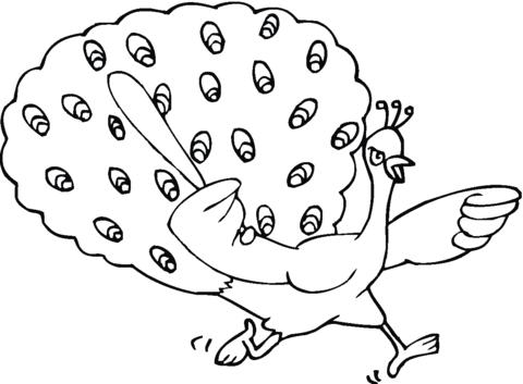 Peacock 18 Coloring page