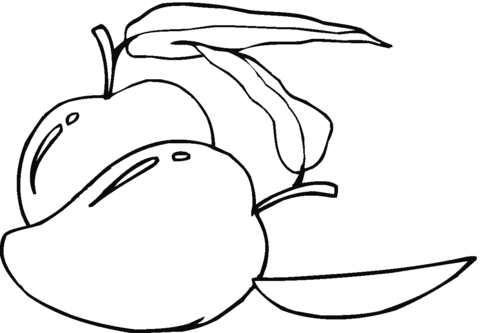 Pear 11 Coloring page