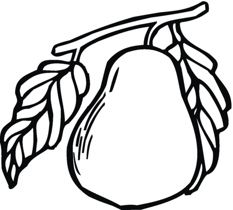 Pear 14 Coloring page