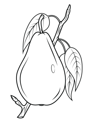 Pear on branch Coloring page