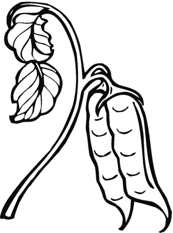 Peas 13 Coloring page