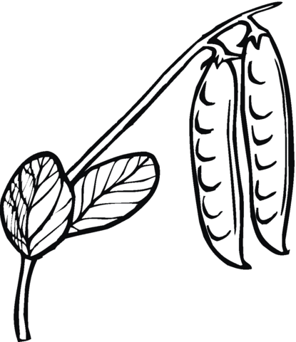 Peas 5 Coloring page