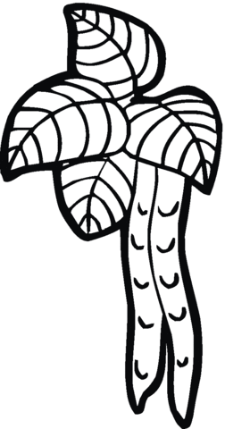 Peas 8 Coloring page