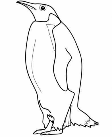 Penguin Coloring page