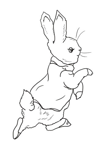 Peter Rabbit is Going Into the Garden Coloring page