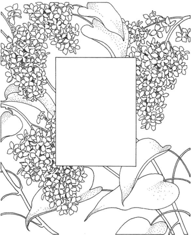 Photo Frame  Coloring page