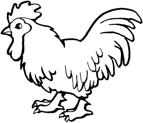 Proud rooster Coloring page