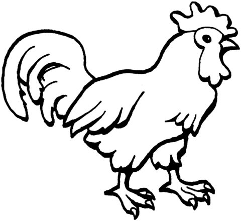 Picture Of rooster Coloring page