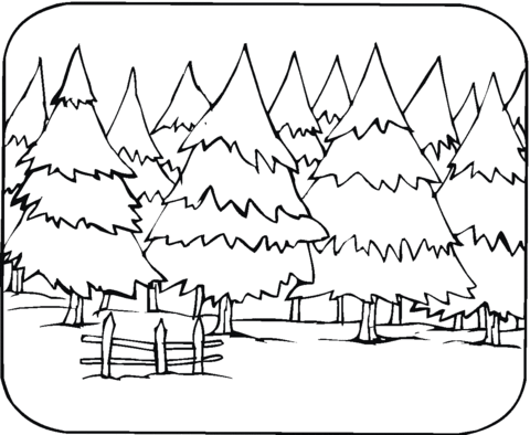Pine Trees Coloring page