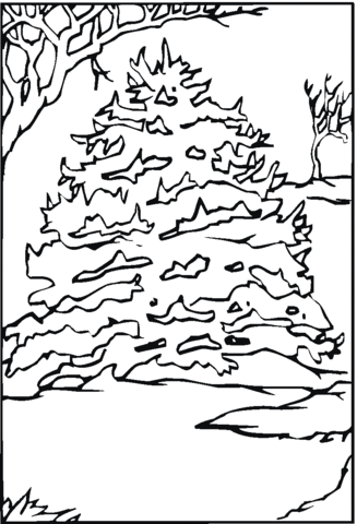 Pine Tree in the snow Coloring page