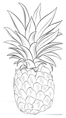 Pineapple Coloring page