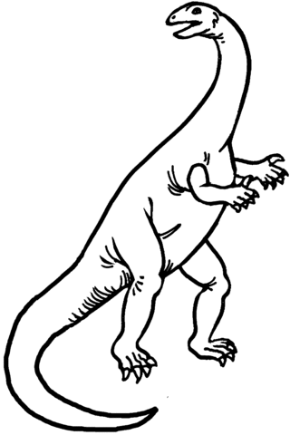 Plateosaurus 1 Coloring page