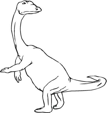Plateosaurus 3 Coloring page