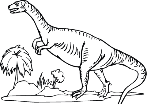 Plateosaurus 9 Coloring page
