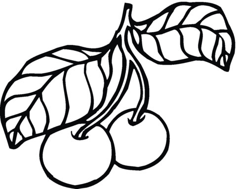 Two cherries on stem with leaves Coloring page