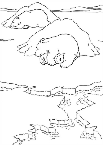 Mommy Polar Bear and Daddy Polar Bear Coloring page