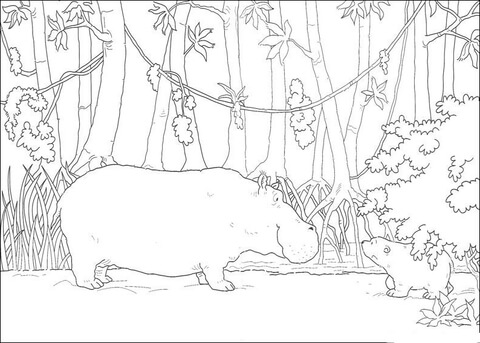 Little Polar Bear Meets Hippo  Coloring page