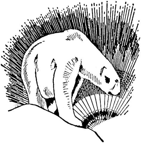 Polar Bear See A Light Coloring page