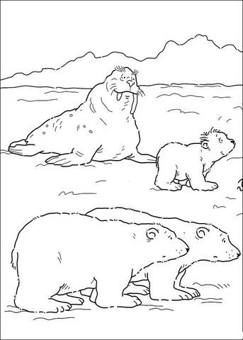 Mommy Polar Bear, Daddy Polar Bear, Lars And Walrus Coloring page