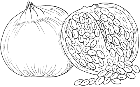 Pomegranate 2 Coloring page