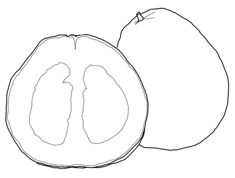 Pomelo Coloring page