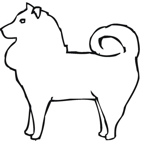 Pomeranian  Coloring page