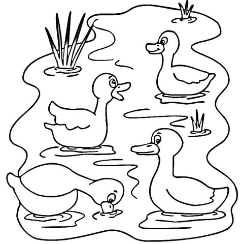 Pond Animals  Coloring page