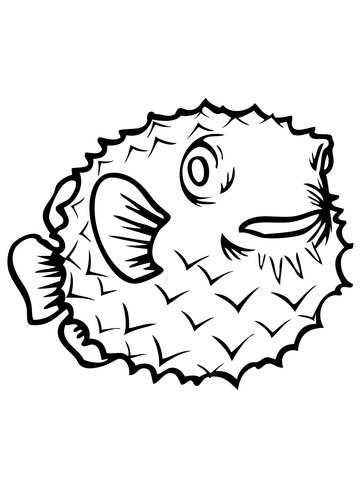Porcupine Fish Coloring page