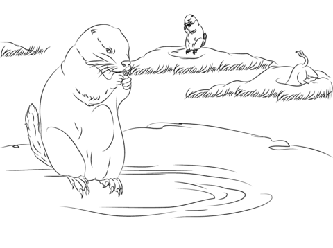 Prairie Dogs Burrow Homes in the Ground Coloring page