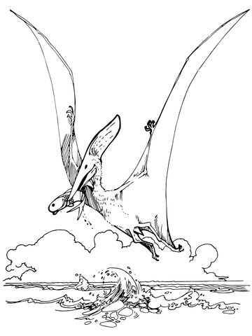 Pteranodon Pterosaur Coloring page