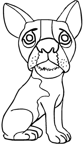 Pug  Coloring page