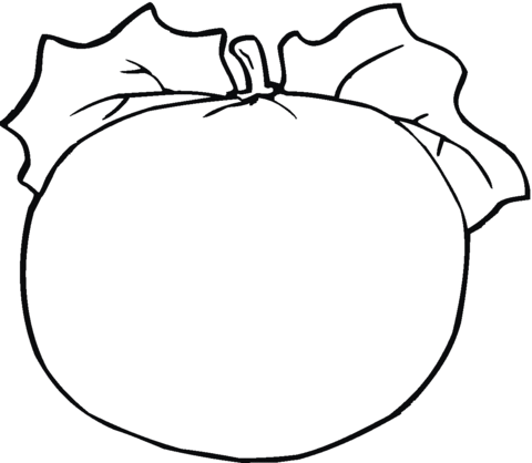 Blank Pumpkin with Leaves Coloring page