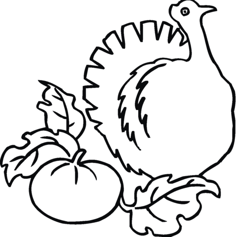 Pumpkin and Turkey  Coloring page