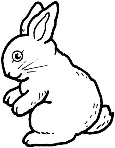 Rabbit 17 Coloring page
