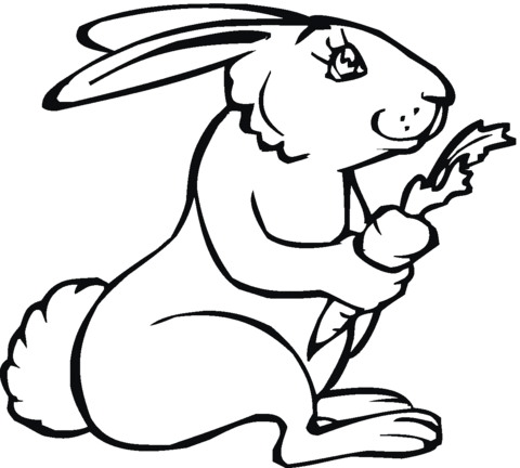 Rabbit Holds A Carrot In Its Hand Coloring page