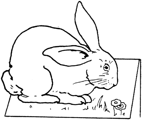 Rabbit On Table Coloring page