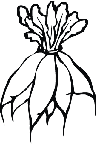 One banch of Radish Coloring page