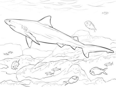 Realistic Bull Shark Coloring page