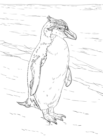 Realistic Royal Penguin Coloring page