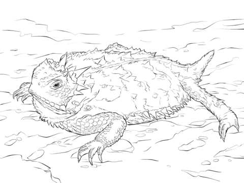 Realistic Texas Horned Lizard Coloring page