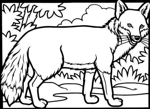 Red Fox Coloring page