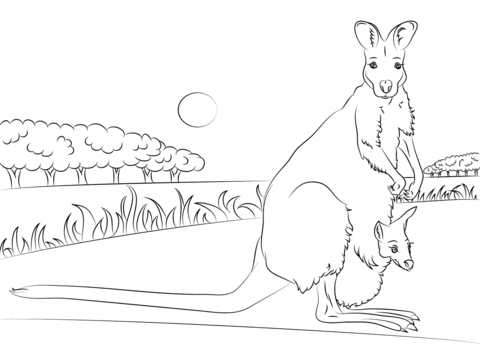 Red Necked Wallaby with Baby Coloring page