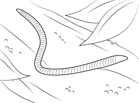 Worm Coloring page